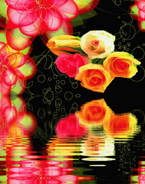 绝美动态玫瑰倒影花册(太绝美了!