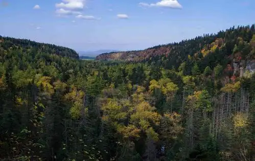 地下森林又叫"谷底森林", 是长白山北景区海拔最低的景点,它是长白山