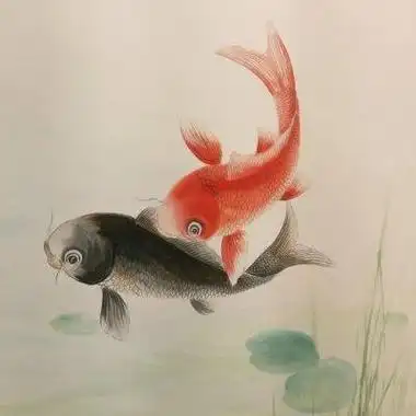 寓意很好能带来好运的头像男女 超火微信必备好运头像一直用_风水头像