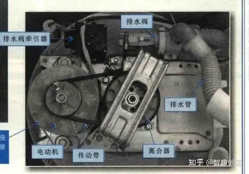 洗涤系统与洗衣桶安装在一起,通过安装在洗衣机底部的电动机和离合器