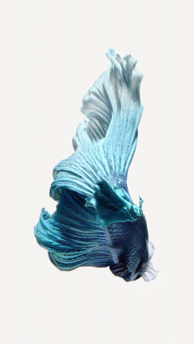 410_726竖版 竖屏gif 动态图 动图