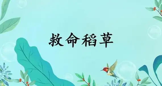 救命稻草的意思怎么读