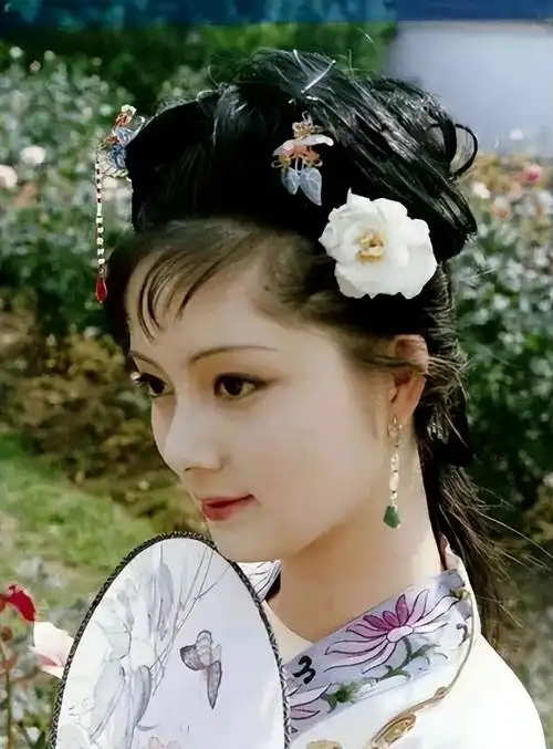 老一辈的顶级审美,《红楼梦》中个个是美女,网友:别翻拍了