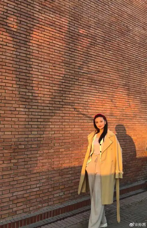 澳洲唐人街偶遇孙茜##孙茜还是和甄嬛传里长的一样