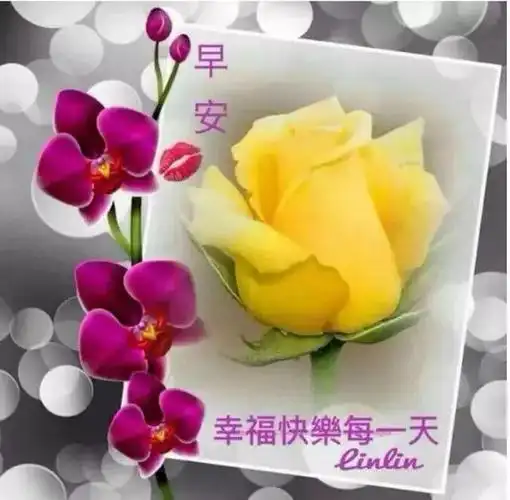 最新版温馨早上好唯美问候语星期六最新早安祝福问候语句