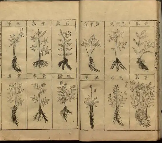 明朝刻本遗存本草纲目2050页高清扫描1