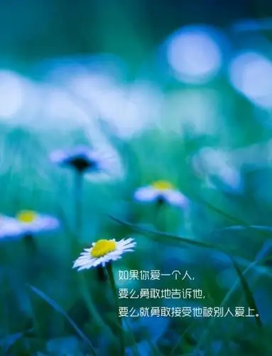 小清新图片唯美带字伤感lomo美图美文