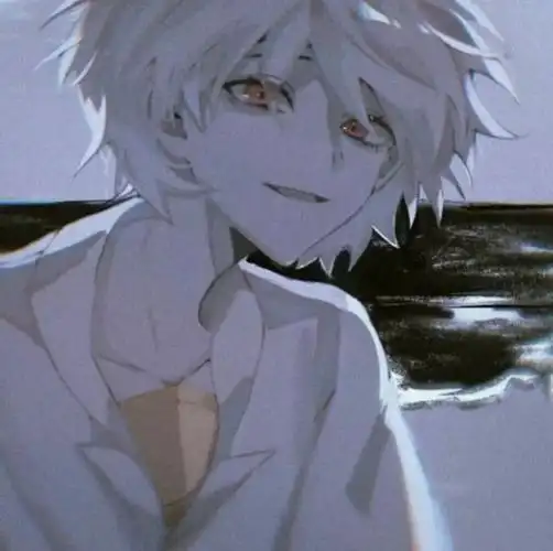 白发系列 动漫男头