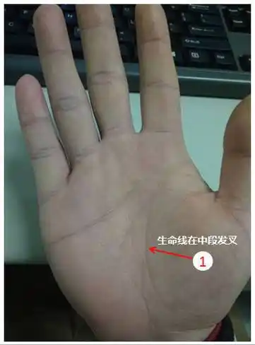 生命线都是独一无二的,你的生命线好吗?