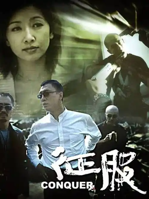 电视剧征服里面丁棍是什么人物刘华强怕他吗