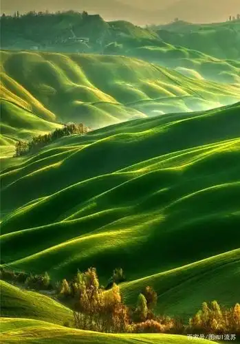 绿色系手机壁纸 七月 盛夏的颜色