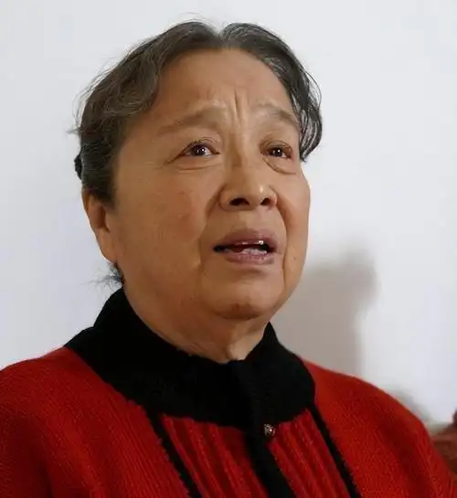 李明启凭借个人能力和对演艺工作认真负责的态度,很快被选中.