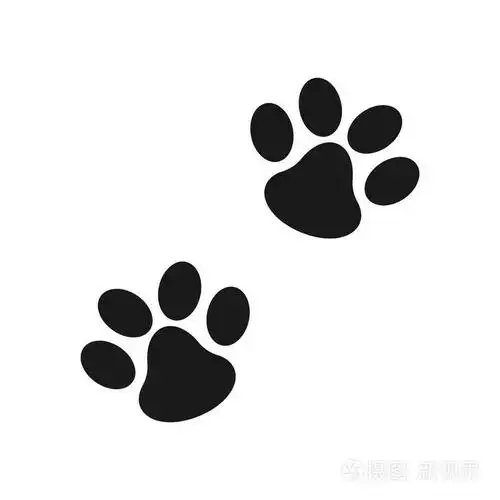 动物爪子的脚印.web 线图标.抽象的向量.