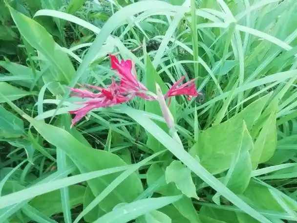 三星洞是什么灵福地?怎么就赛天堂了!