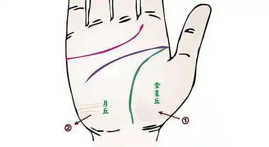 女性月丘饱满代表什么,手相中的月丘饱满什么意思