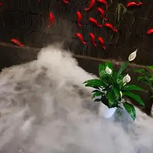 随风而去的向日葵头像