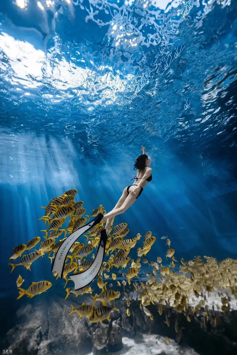 美人鱼 #潜水 #自由潜水 #水 - 抖音