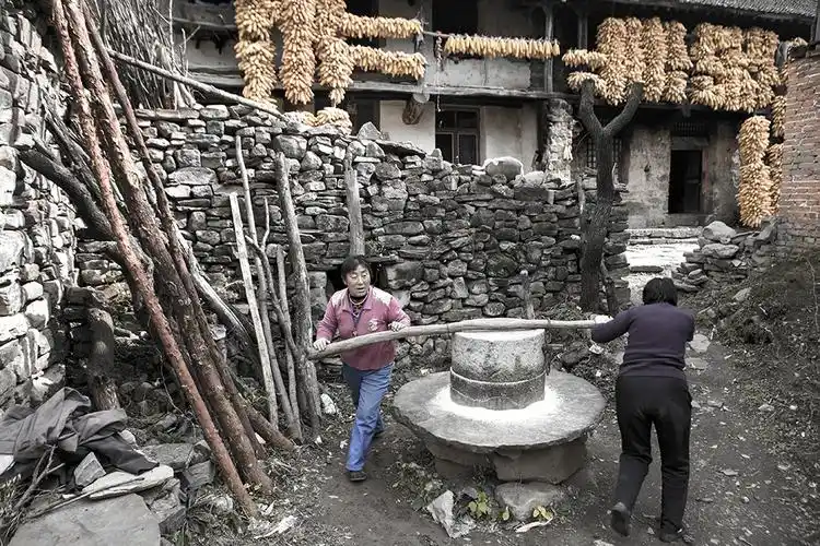 37, 桦树坪老庄上(2000年) 手工推磨以不多见.