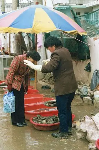 老照片:2000年的江苏镇江,有没有你的记忆?