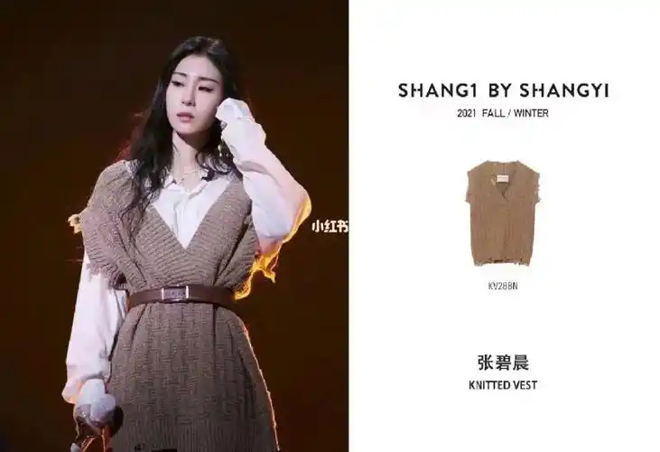 张碧晨inshang1byshangyi