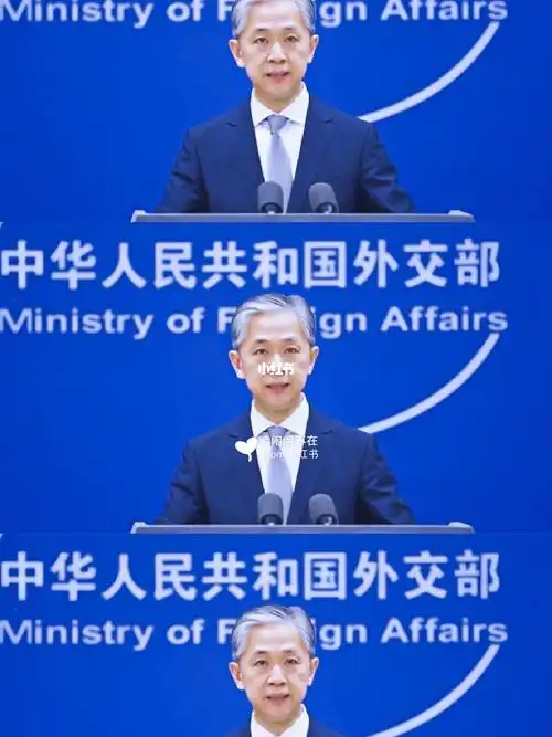 外交天团最温柔的笑容