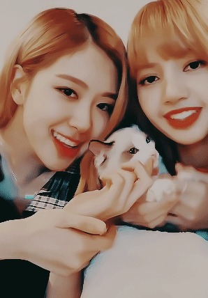 【tumblr/gif】blackpink是yg entertainment于2016年8月8日推出的