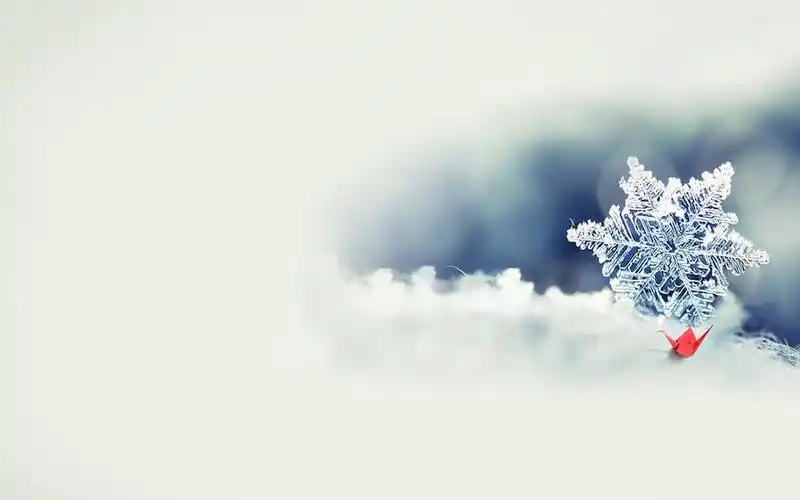 qq风尚唯美背景