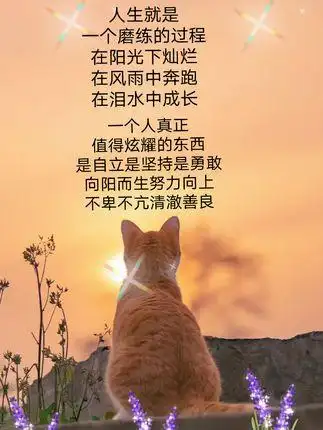 人生就是一个磨练的过程在阳光下灿烂在风雨中奔跑在泪水中成长