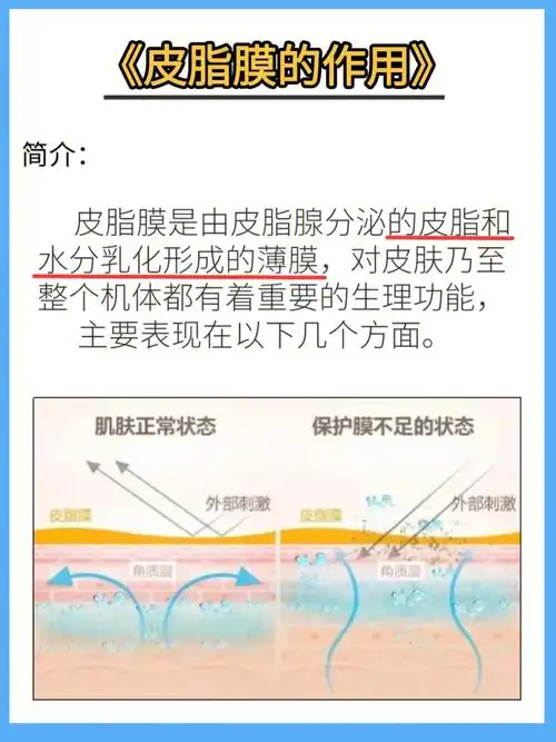 皮脂膜的作用75