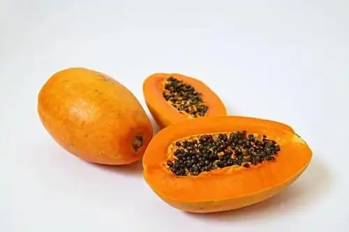 水果品种大全名字(常见的十六种水果品种)插图13