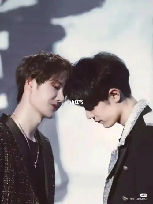 肖家的红海王家的绿海博君一肖的极光海