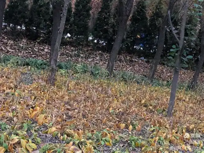 一地鸡毛,一声叹息.