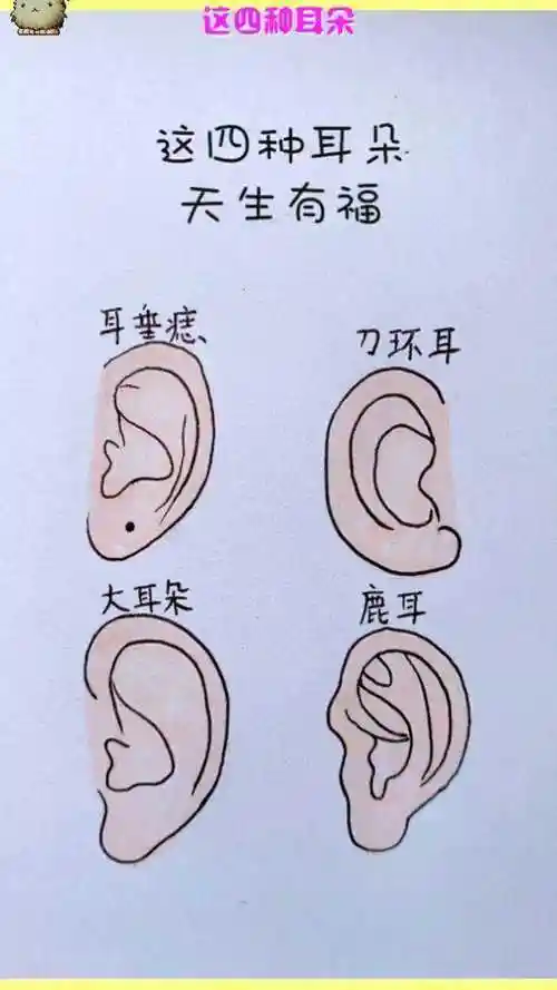 这四种耳朵天生有福你有没有