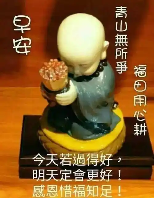 原创暮春非常漂亮的美女早上好问候动画表情图片好看的早安问候美女