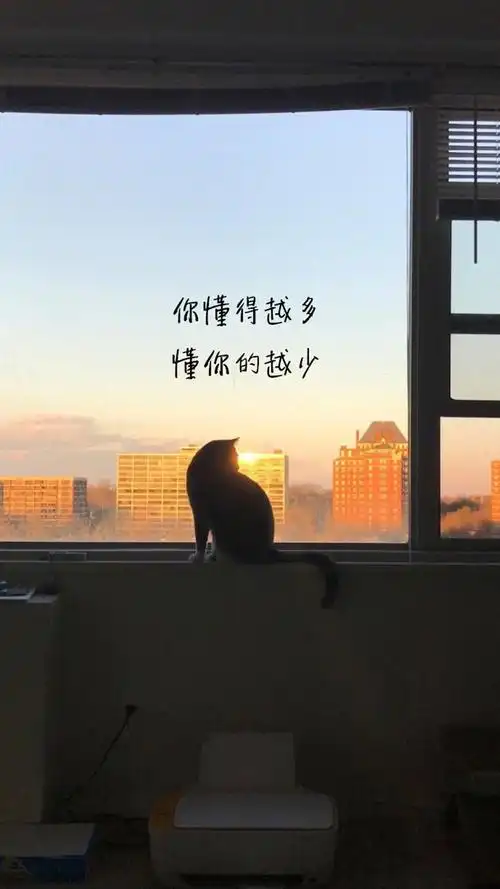 精美小清新文字语录手机壁纸