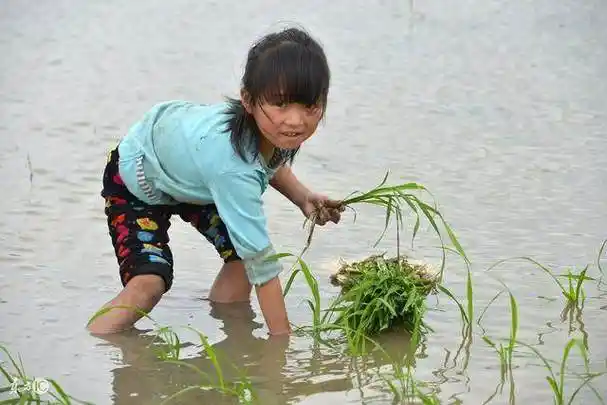 看看80年代农村孩子的暑假如何过