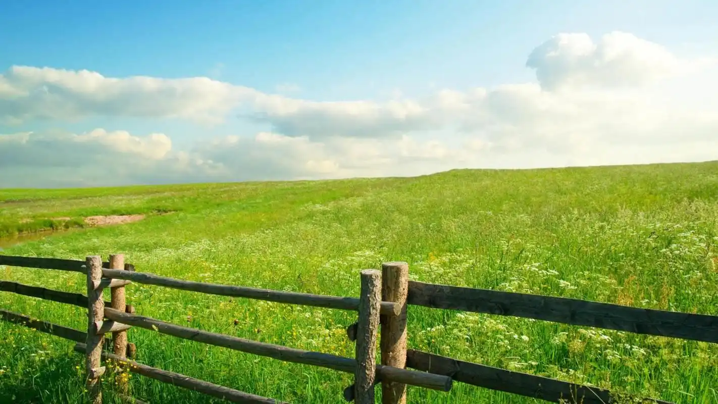 绿色护眼,唯美草原风光壁纸