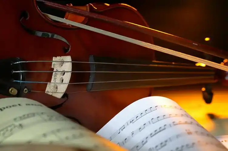 小提琴图片二(4)