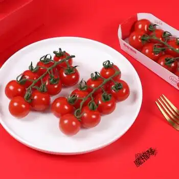 串收小番茄小番茄圣女果西红柿轻食轻餐冷餐摆盘新鲜水果 (80%人选择)