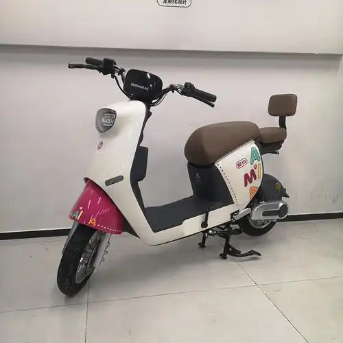 新款爱玛电动车 小乔48v24a锂电池 爱玛电瓶车 新国标电动自行车