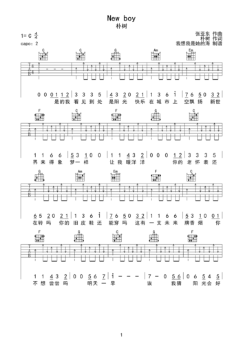 朴树newboy吉他谱