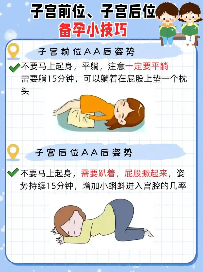 子宫前位子宫后位备孕小技巧,高效备孕一次中.