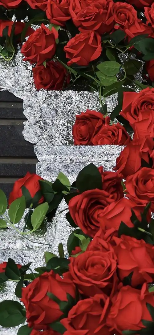 标签玫瑰花锁屏红色玫瑰花高清手机壁纸:片片火红的玫瑰花,是那样的有