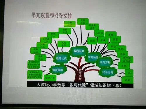 "数与代数"领域知识树