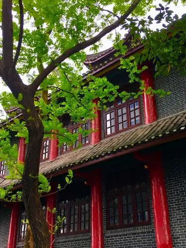 重庆大学校园景色