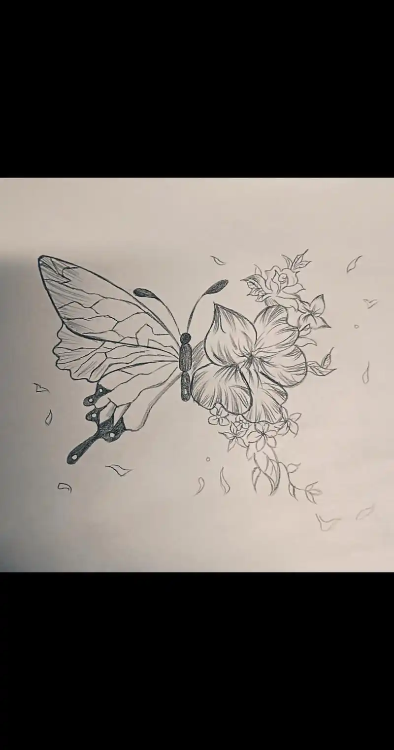 手绘 #临摹 #绘画过程 #蝴蝶与花 #蝶 - 抖音