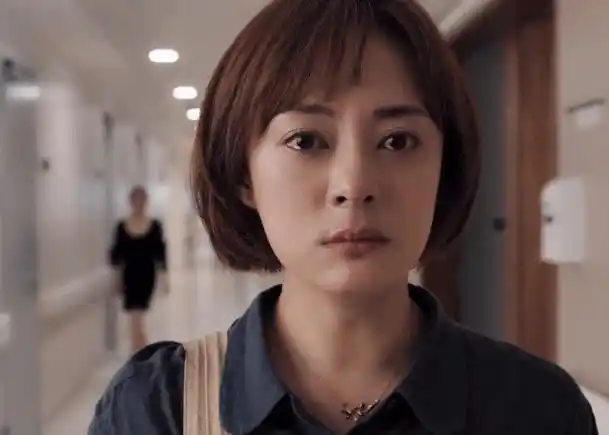 孙俪发长文告别理想之城