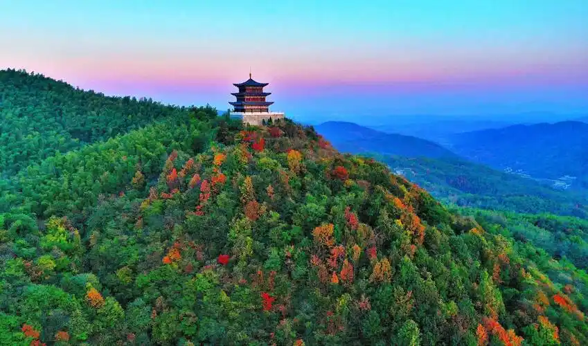 图说信阳|固始:西九华山红叶碧竹映射"醉美"深秋_色彩_山野_树种