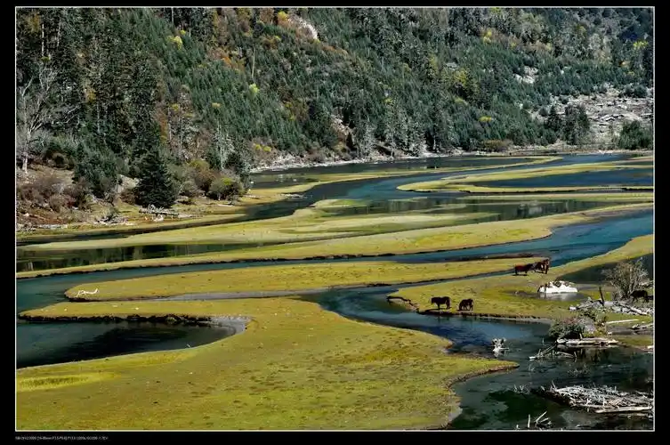川西秋摄之月亮湖