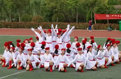 10个人舞蹈队形组合想参加一个表演比赛,参加人数10人,要变换3--5次